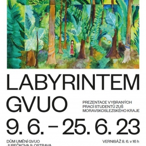 Výstava Labyrintem GVUO / Příspěvek
