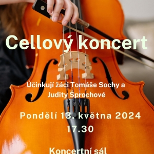 Společný koncert cellistů / Příspěvek