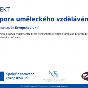 Operační program Jan Amos Komenský / Příspěvek